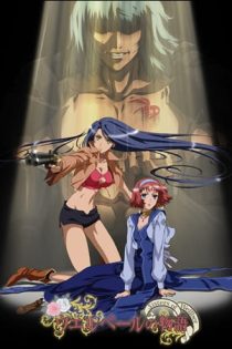 دانلود انیمه Sisters of Wellber Zwei