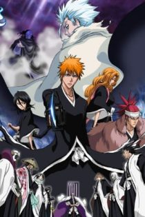 دانلود انیمه Bleach the Movie: The DiamondDust Rebellion