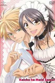 دانلود انیمه Maid Sama!