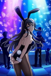 دانلود انیمه Rascal Does Not Dream of Bunny Girl Senpai