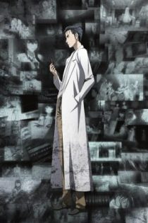 دانلود انیمه Steins;Gate: Open the Missing Link - Divide By Zero
