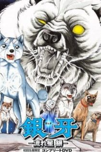 دانلود انیمه Silver Fang