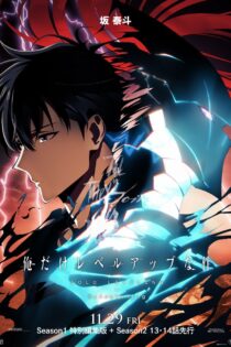 دانلود انیمه Solo Leveling: ReAwakening