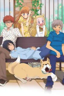 دانلود انیمه Honey and Clover II
