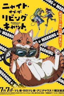 دانلود انیمه Nyaight of the Living Cat