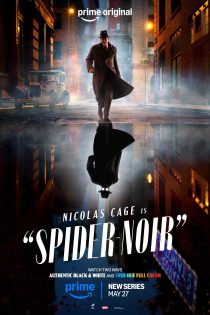 Spider Noir